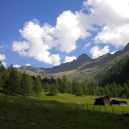 Bed & Breakfast Dolomiti Bey Haus Pinter Assling Extérieur photo