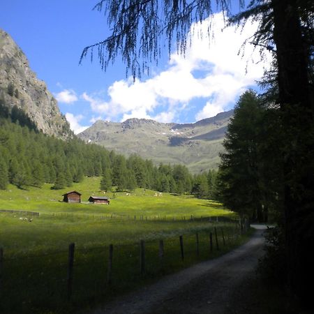 Bed & Breakfast Dolomiti Bey Haus Pinter Assling Extérieur photo