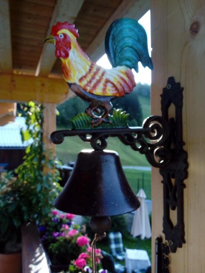 Bed & Breakfast Dolomiti Bey Haus Pinter Assling Extérieur photo