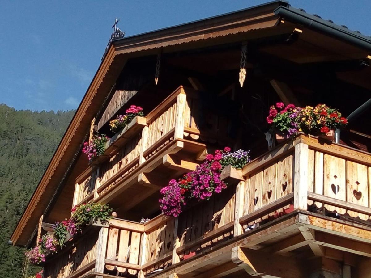 Bed & Breakfast Dolomiti Bey Haus Pinter Assling Extérieur photo