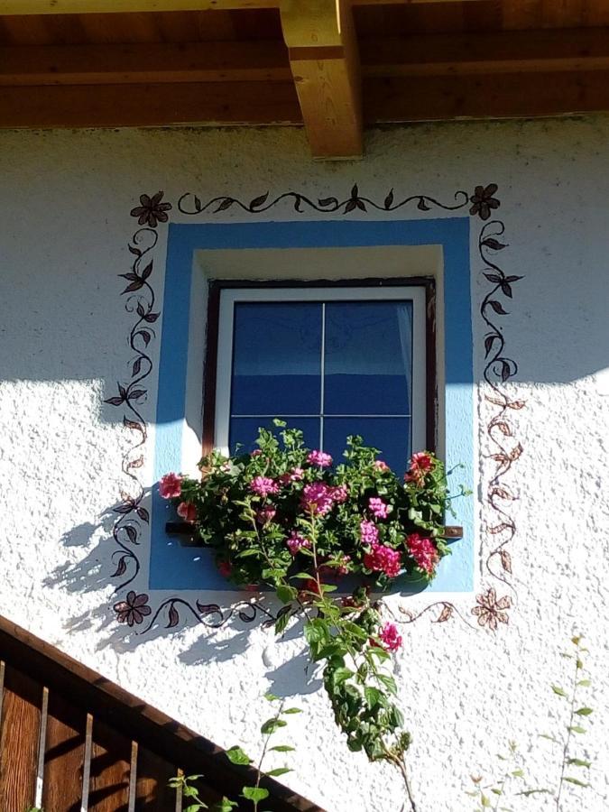 Bed & Breakfast Dolomiti Bey Haus Pinter Assling Extérieur photo