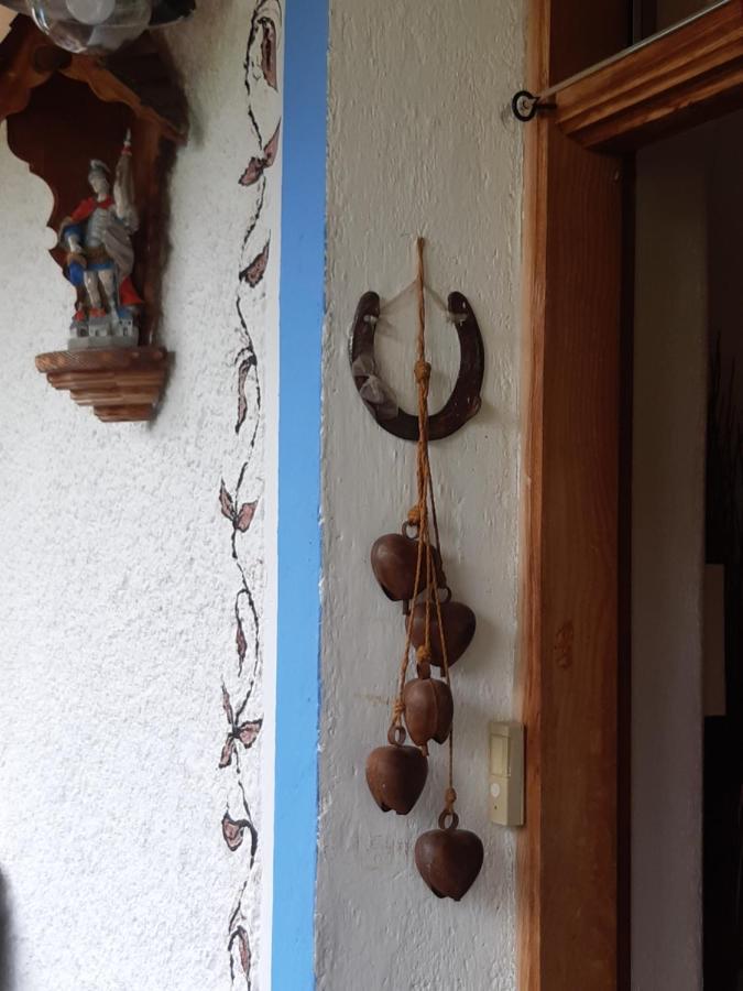 Bed & Breakfast Dolomiti Bey Haus Pinter Assling Extérieur photo
