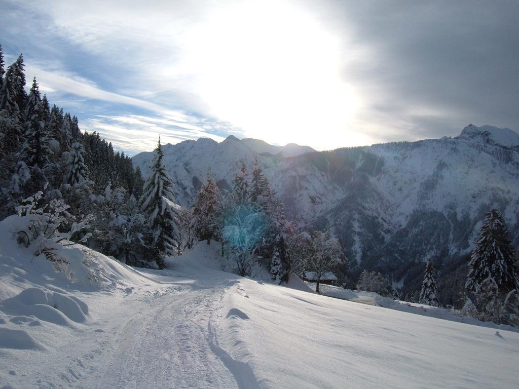 Bed & Breakfast Dolomiti Bey Haus Pinter Assling Extérieur photo