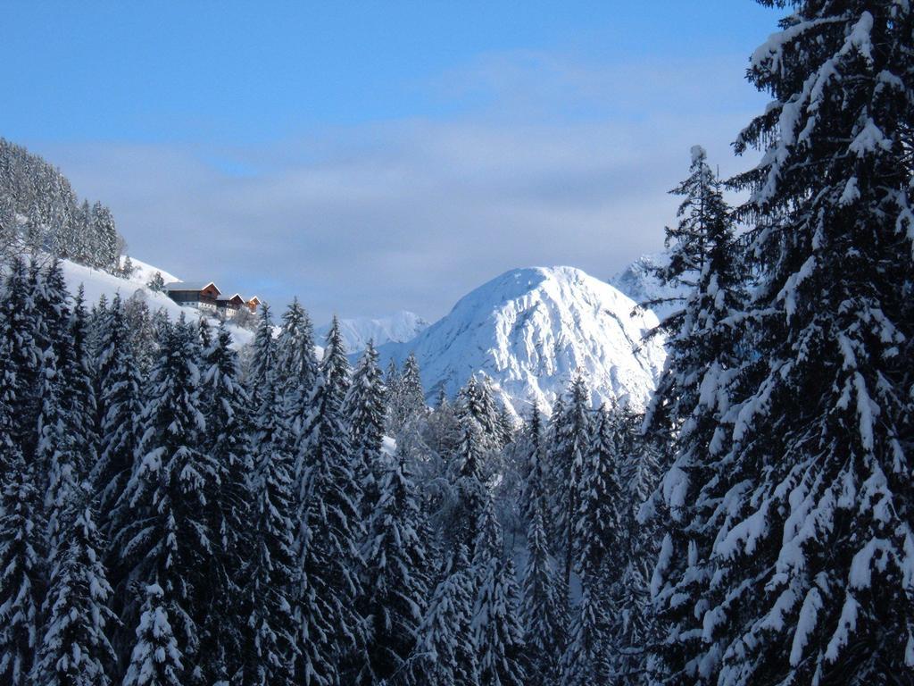 Bed & Breakfast Dolomiti Bey Haus Pinter Assling Extérieur photo