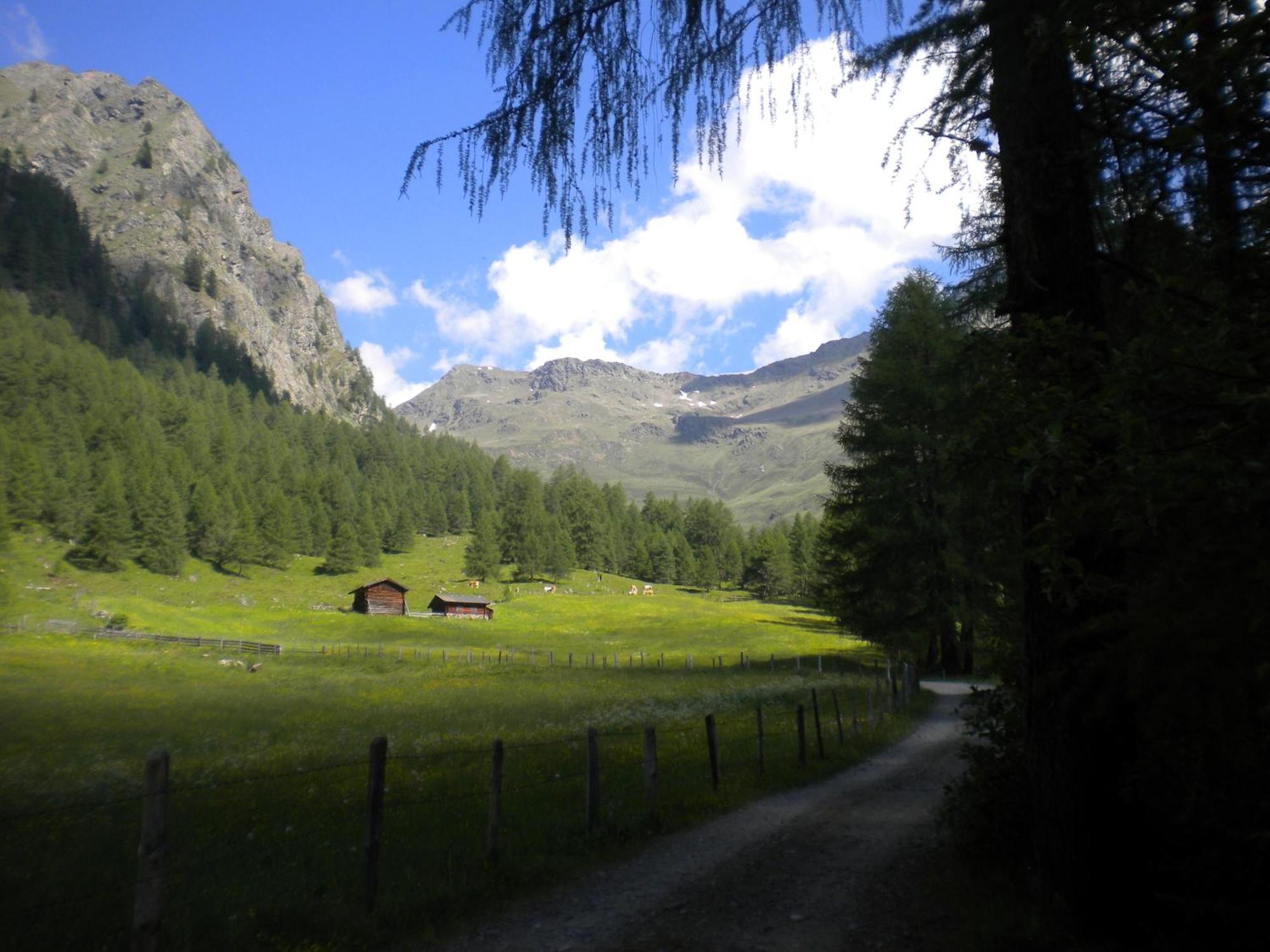 Bed & Breakfast Dolomiti Bey Haus Pinter Assling Extérieur photo