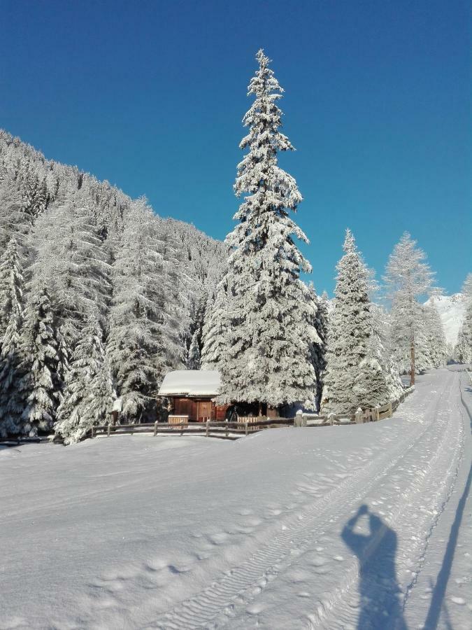 Bed & Breakfast Dolomiti Bey Haus Pinter Assling Extérieur photo