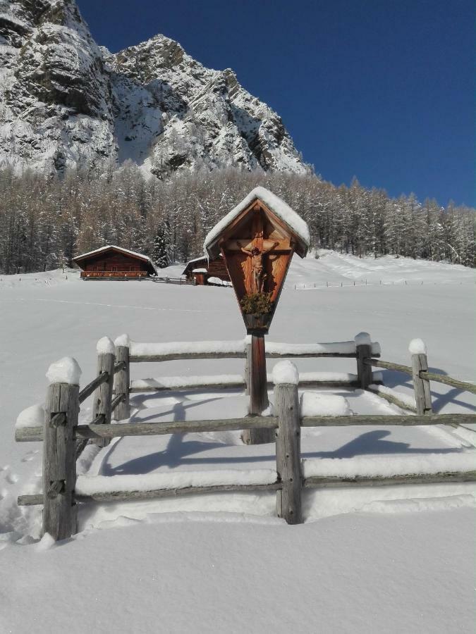 Bed & Breakfast Dolomiti Bey Haus Pinter Assling Extérieur photo