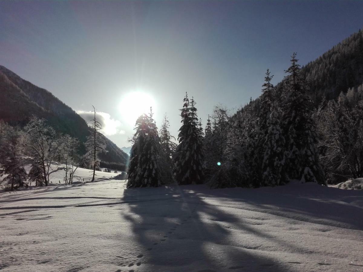 Bed & Breakfast Dolomiti Bey Haus Pinter Assling Extérieur photo